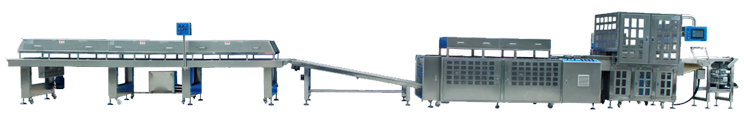 JH1370 Automatic Tortilla Production Line